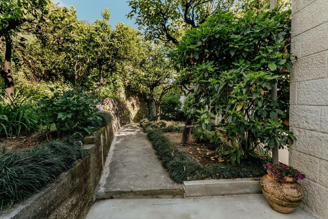 Boka Apartment 4 Herceg Novi Exterior photo